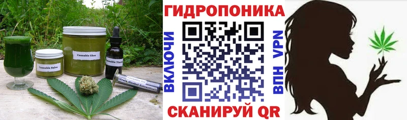 закладки  Верещагино  Cannafood конопля 