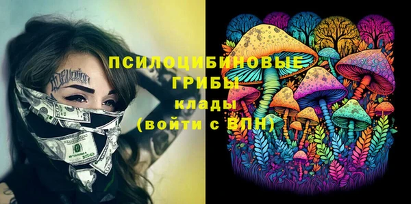 дурь Богородицк