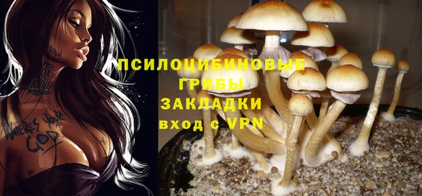 Альфа ПВП Богородск