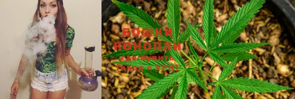 метамфетамин Богданович