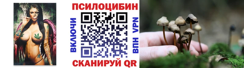 Галлюциногенные грибы мицелий  Верещагино 